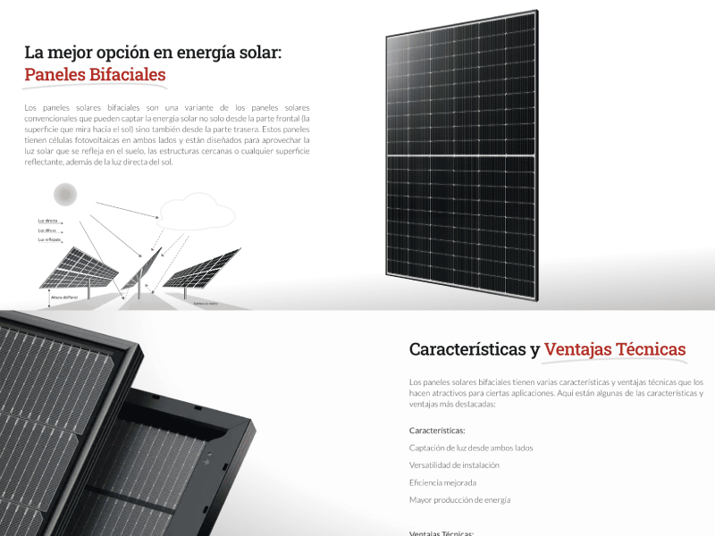 Estrategia de leads