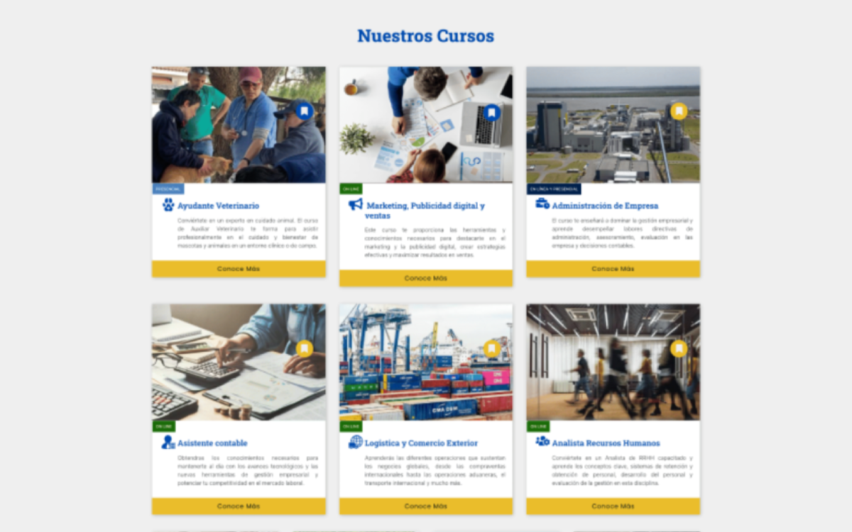 Página de cursos del Instituto Grupo Saber — estructura clara con categorías y botón de inscripción