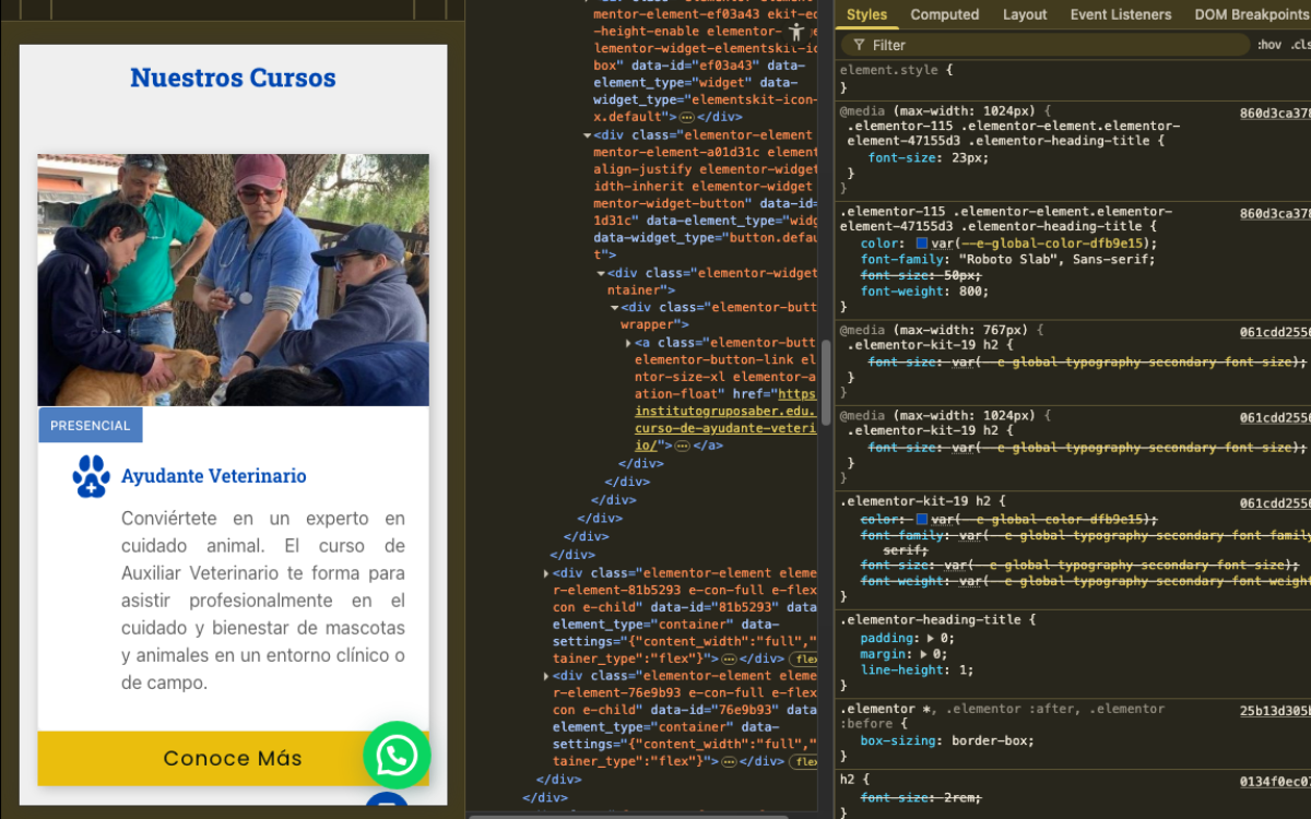 Desarrollo WordPress con Elementor para instituto de capacitación